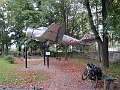 IMG_2951