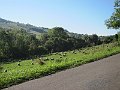 IMG_2958