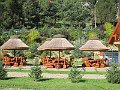 IMG_2990