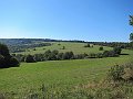 IMG_3007