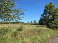 IMG_3009