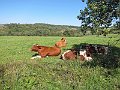 IMG_3021