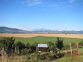 IMG_3045