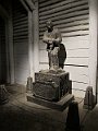IMG_3238