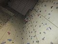 IMG_1201