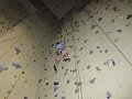 IMG_1206