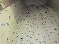 IMG_1248