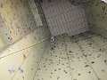 IMG_1251