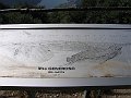 IMG_0218