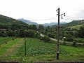 IMG_0303