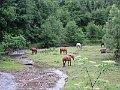 IMG_0317