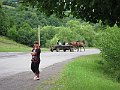 IMG_0353