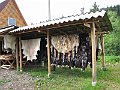 IMG_0410