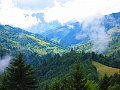 IMG_0490