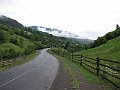 IMG_0501