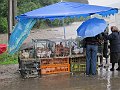 IMG_0524
