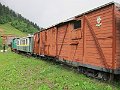 IMG_0536
