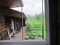 IMG_0577