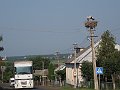 IMG_0661