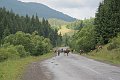 IMG_1948_1