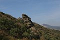 IMG_0013