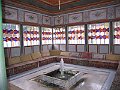 IMG_8756