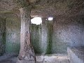 IMG_8898_1