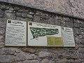 IMG_8912_1