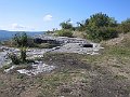 IMG_8917