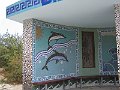 IMG_8987