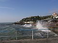 IMG_9081