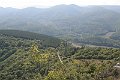 IMG_9252
