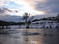 IMG_1239