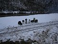 IMG_1340