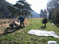 IMG_0185