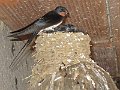IMG_1761