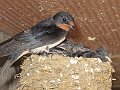 IMG_1771