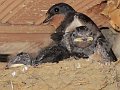 IMG_1774
