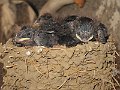 IMG_1781
