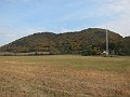 IMG_0877