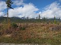 IMG_0961