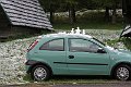 IMG_2035