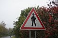 IMG_2107