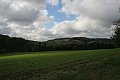 IMG_2141