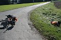 IMG_2153
