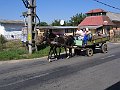 IMG_0986