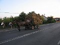 IMG_1006