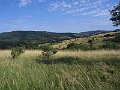 IMG_1078