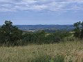 IMG_1094