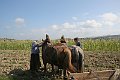 IMG_1114
